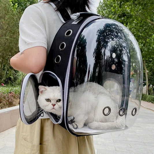 Breathable Cat And Small Dogs Carrying Backpacks