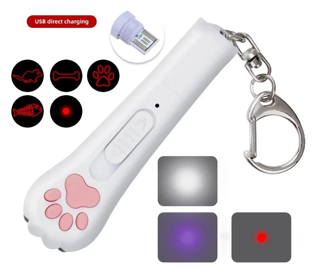 3-in-1 Interactive USB Rechargeable Laser Pointer