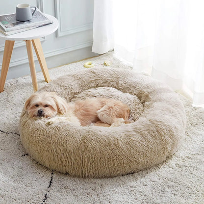 Nest Bed