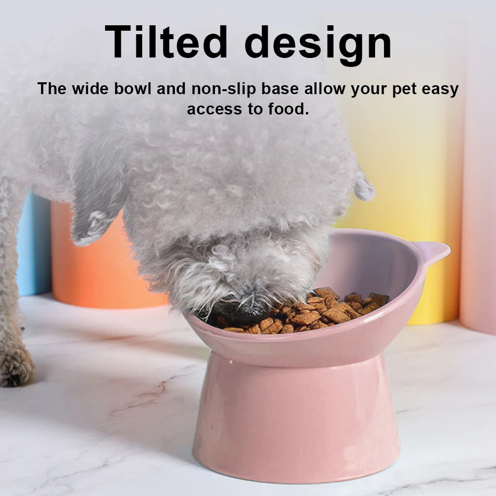 Tilted Elevated Food Bowl